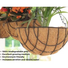 10 Inch Metal Hanging Basket with Chain and Coco Liner, Designer Hanging Basket for Indoor and Outdoor
