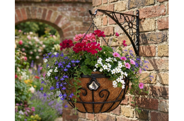 The Ultimate Guide to Coco Coir Hanging Baskets: Benefits &