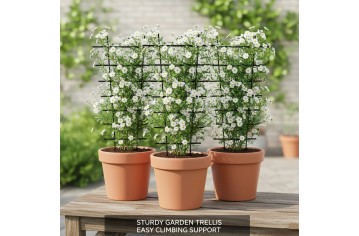 What are the Garden Decoration Ideas at Home