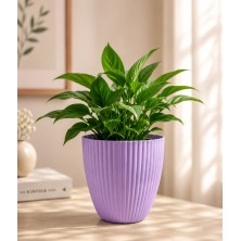 Purple Ribbed Plastic Flower Pot - 6 Inch