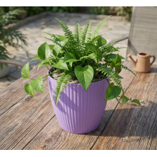 Purple Ribbed Plastic Flower Pot - 6 Inch