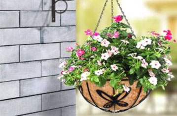 The Ultimate Guide to Coco Coir Hanging Baskets: Benefits & 