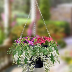 Black blooming basket