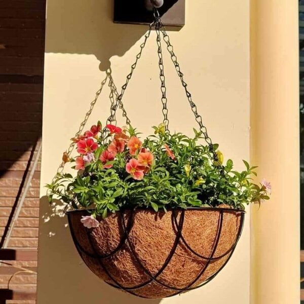 Coco Coir hanging baskets