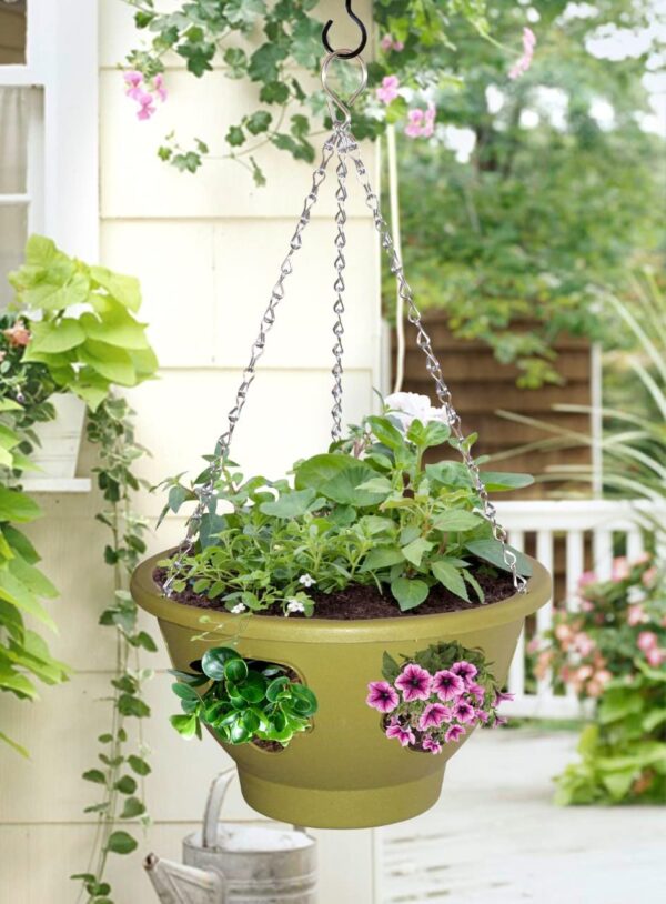 Green blooming basket