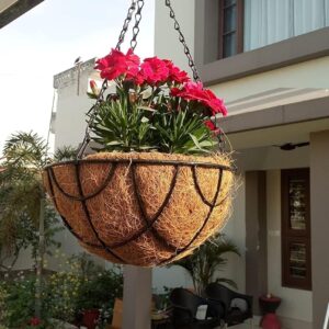 10 INCH coco coir basket