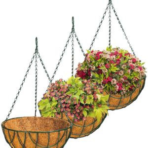 10 INCH coco coir green basket