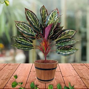 Artificial plants for table decor