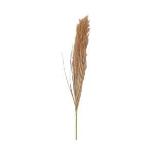 Broom sedge for home decor