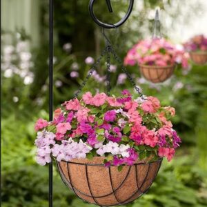 Coco coir hanging baskets