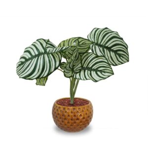 Artificial Plants for table decor