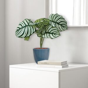 Artificial Plants for table decor