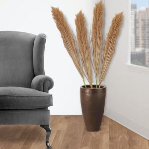 Broom sedge for home decor