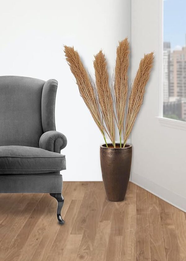 Broom sedge for home decor