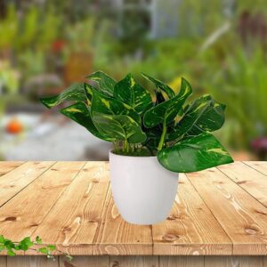 Artificial plants for table decor