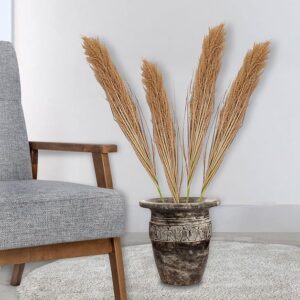 Broom sedge for home decor