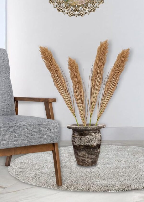 Broom sedge for home decor