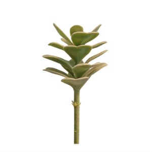 GARDEN DECO Fake Succulent Plant-Green (Set of 1 Pc)