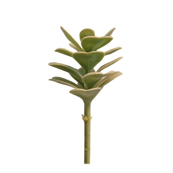 GARDEN DECO Fake Succulent Plant-Green (Set of 1 Pc)