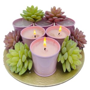 GARDEN DECO Imported Paraffin Wax Candles and Succulent Plants for Diwali Gift Hamper, 2 in 1 Use. (Set of 6)