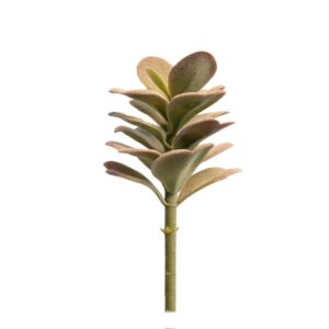 GARDEN DECO Fake Succulent Plant-Green (Set of 1 Pc)