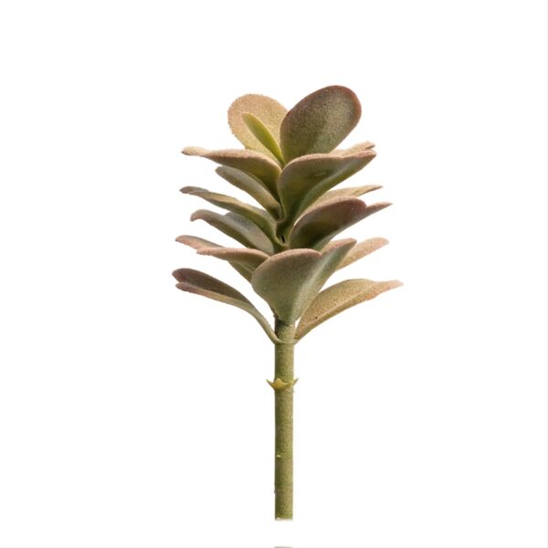 GARDEN DECO Fake Succulent Plant-Green (Set of 1 Pc)