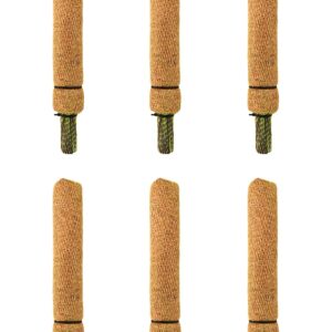 GARDEN DECO Coco Pole for Plant Support (1 Feet, 6 Pcs)