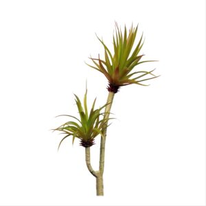 GARDEN DECO Artificial Plant (High Real Appearance, Set of 1 Pc)